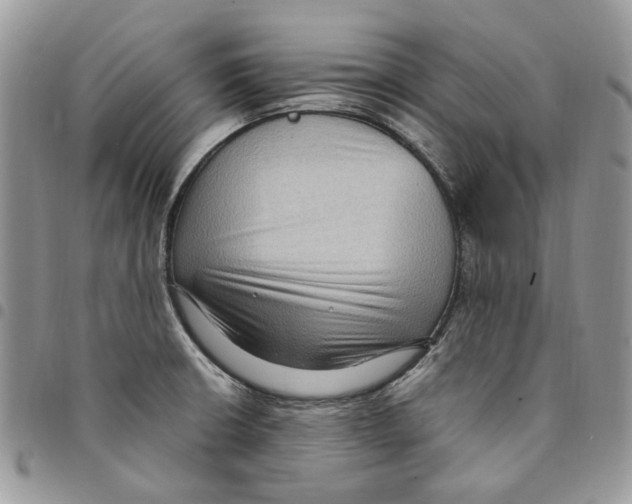 X0000094951426200712271648