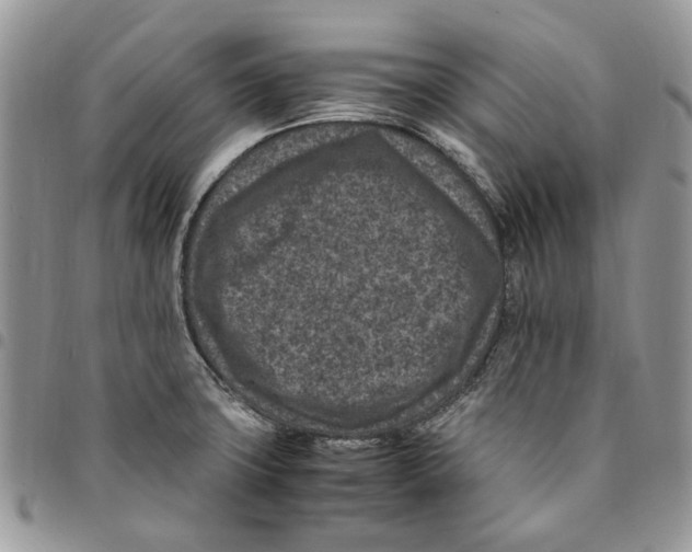 X0000094951427200712271648