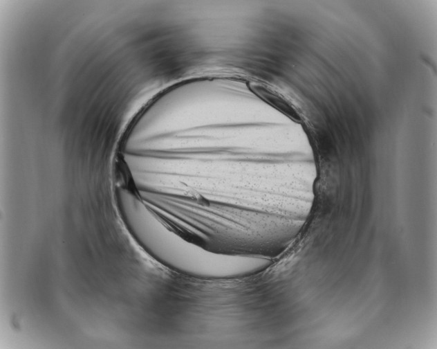 X0000094951430200712271648