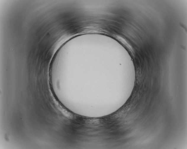 X0000094951431200712271648