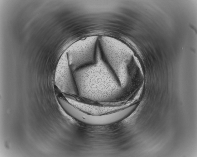 X0000094951433200712271648