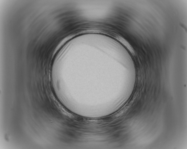 X0000094951436200712271648