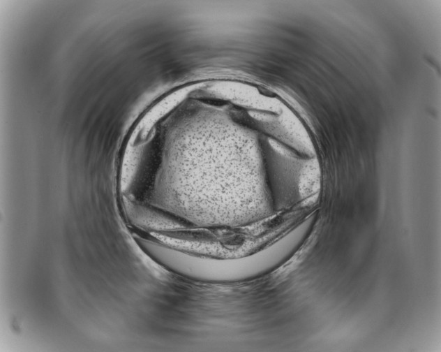 X0000094951438200712271648