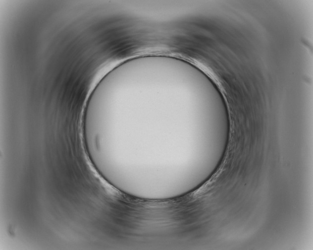 X0000094951440200712271648