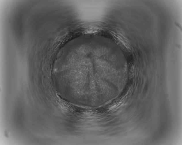 X0000094951441200712271647