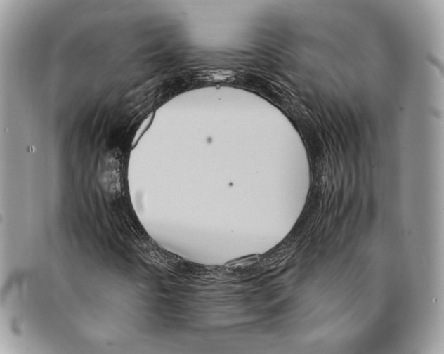 X0000094951442200712271647