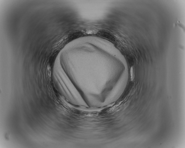 X0000094951443200712271647