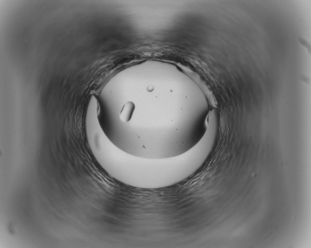 X0000094951444200712271647