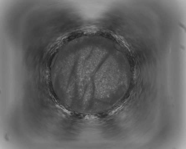 X0000094951445200712271647