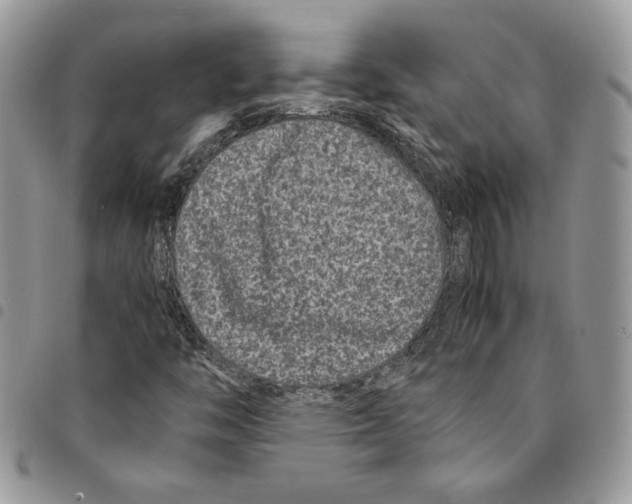 X0000094951446200712271647