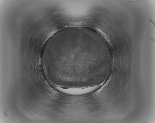 X0000094951449200712271647