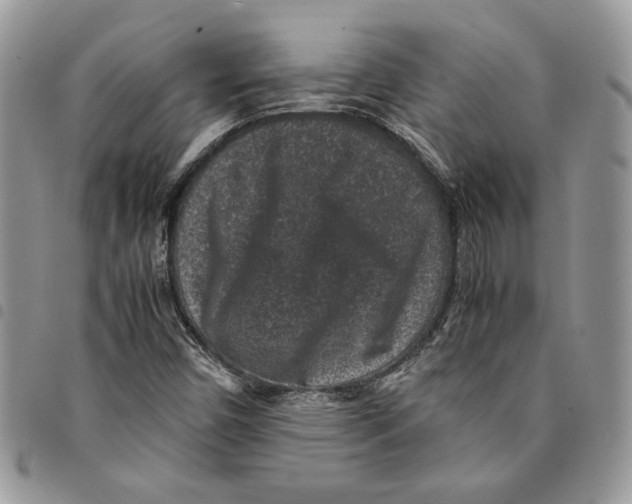 X0000094951450200712271647