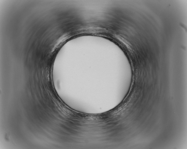 X0000094951451200712271647