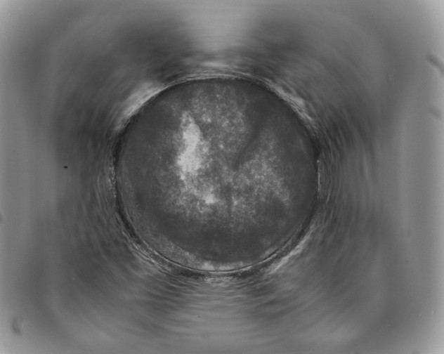 X0000094951453200712271647