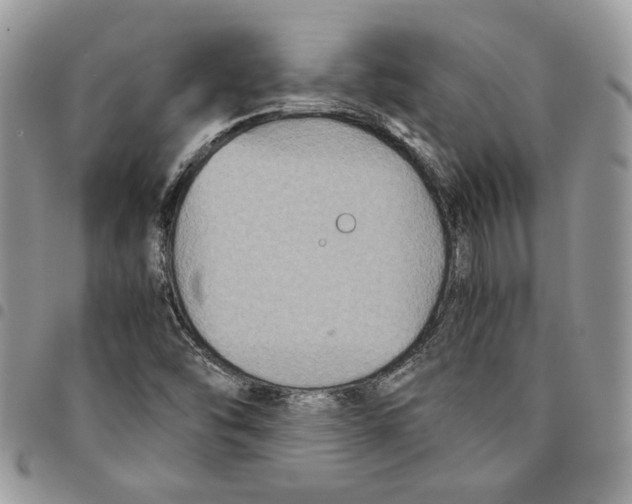 X0000094951454200712271647