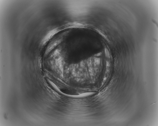 X0000094951455200712271647