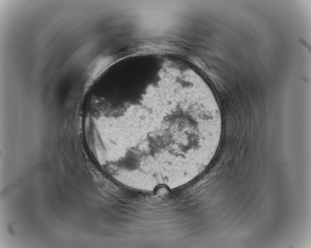 X0000094951459200712271647