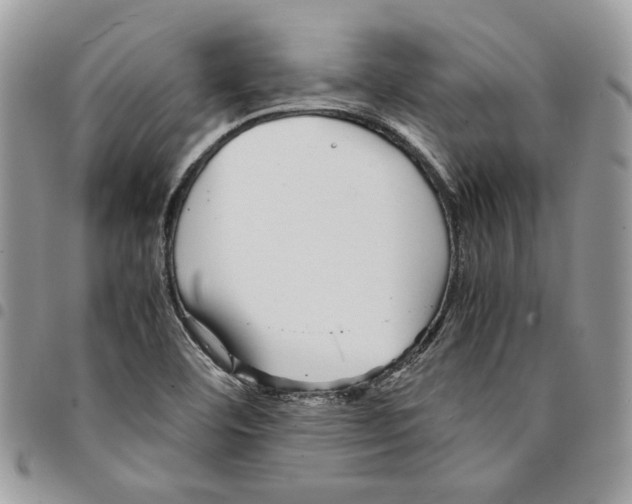 X0000094951460200712271647