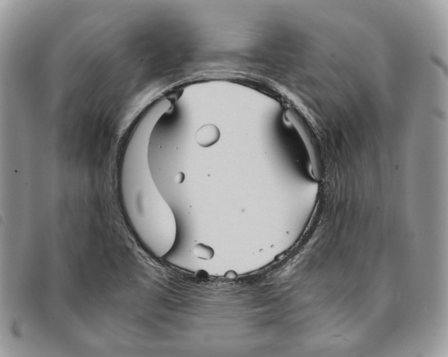 X0000094951461200712271647