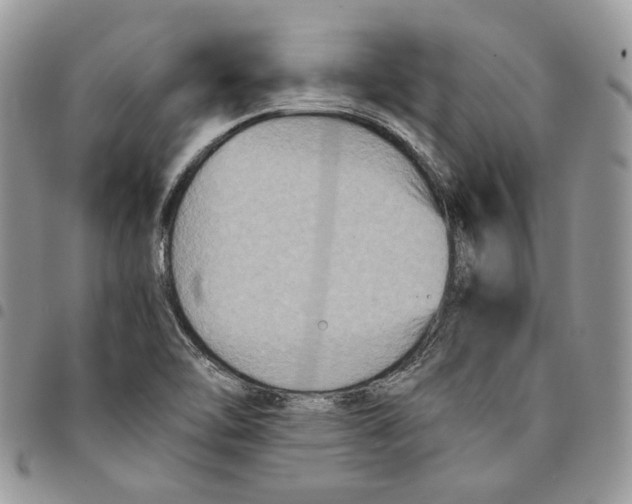 X0000094951462200712271647