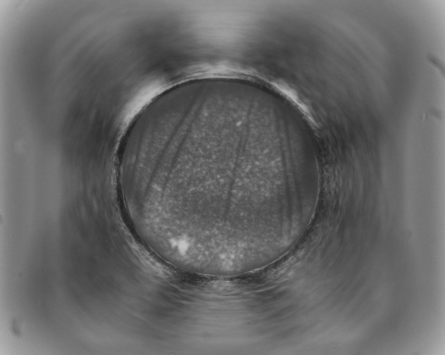 X0000094951463200712271647