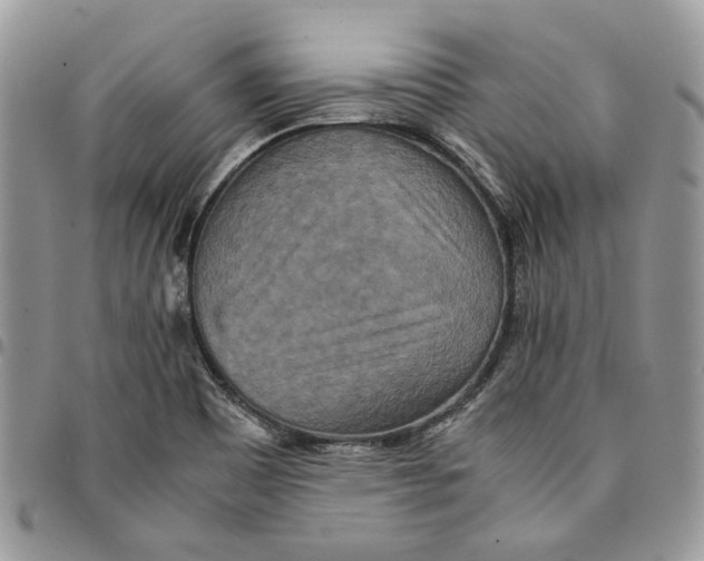 X0000094951465200712271647