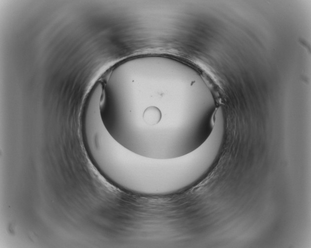 X0000094951468200712271647