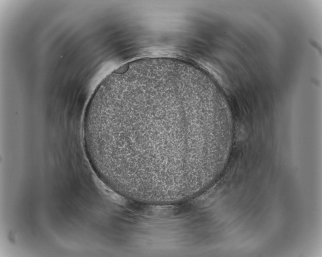 X0000094951471200712271647