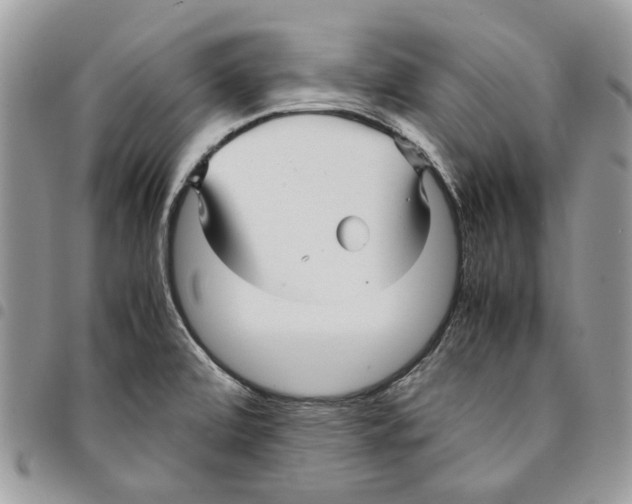 X0000094951472200712271647