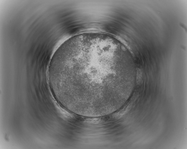 X0000094951474200712271647