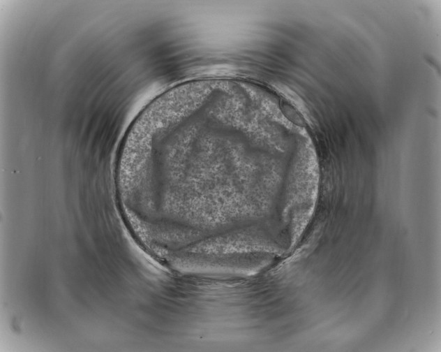 X0000094951475200712271647