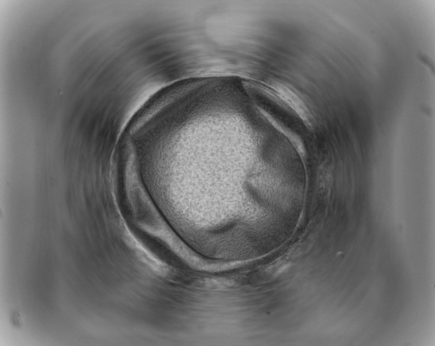 X0000094951476200712271647