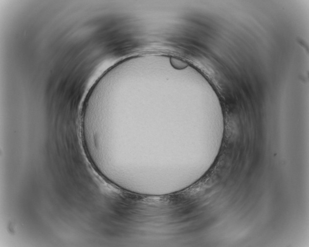 X0000094951478200712271647