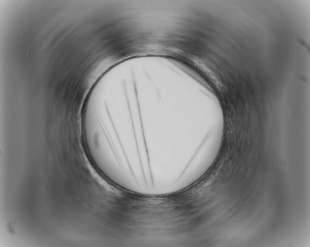 X0000094951479200712271647