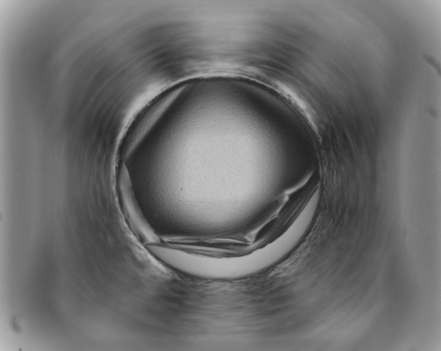 X0000094951480200712271647