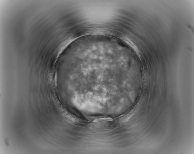 X0000094951481200712271647