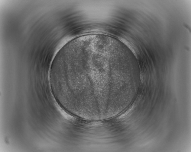 X0000094951482200712271647