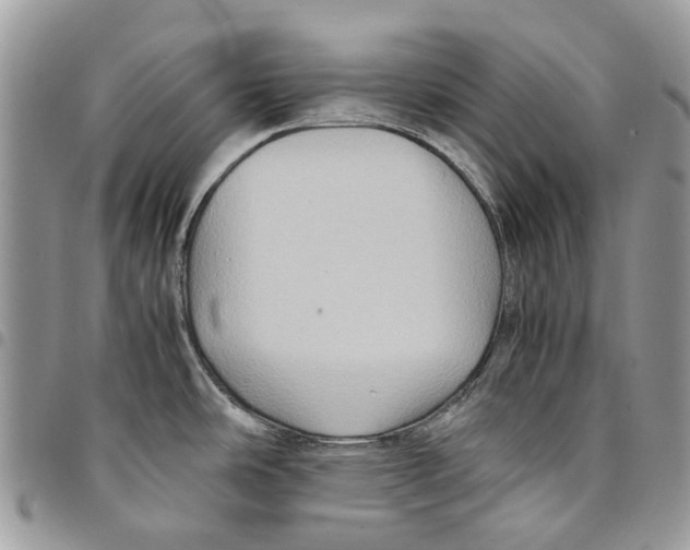 X0000094951486200712271647