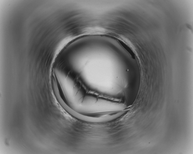 X0000094951488200712271647