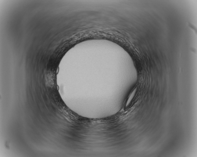 X0000094951490200712271646