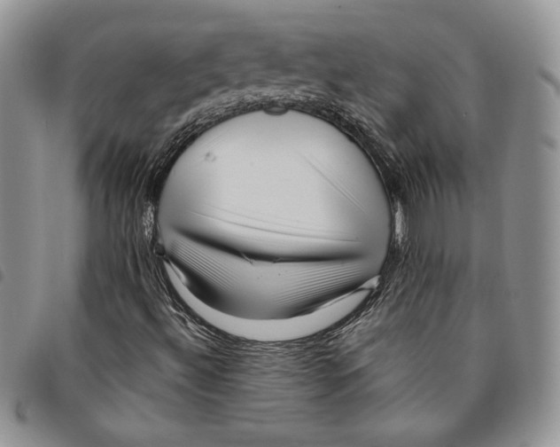 X0000094951492200712271646