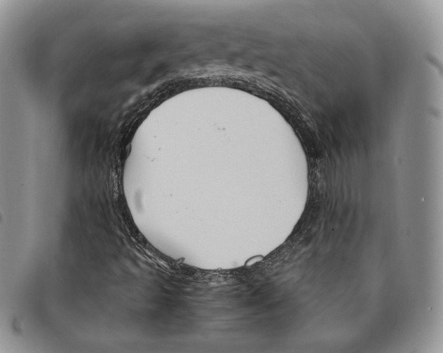 X0000094951493200712271646