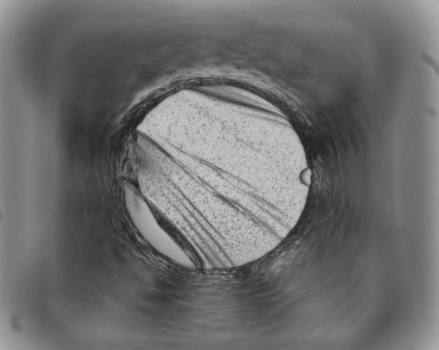 X0000094951494200712271646