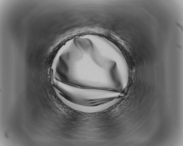 X0000094951496200712271646