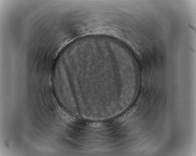 X0000094951497200712271646