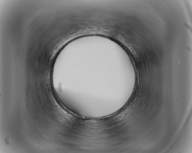 X0000094951500200712271646