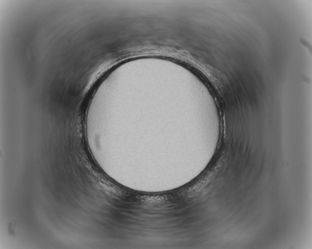 X0000094951501200712271646