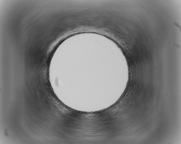 X0000094951502200712271646