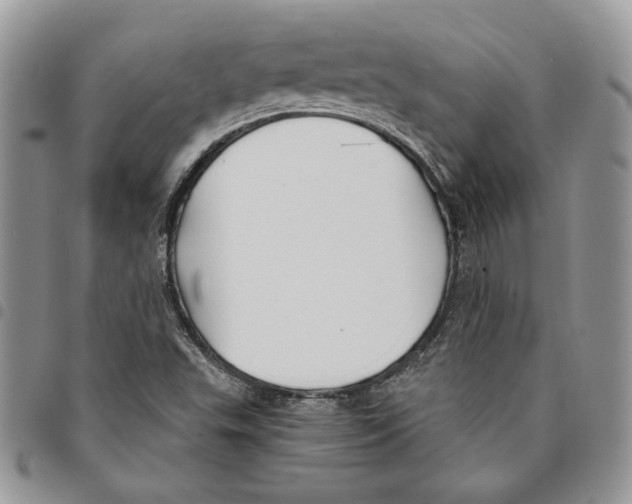 X0000094951503200712271646