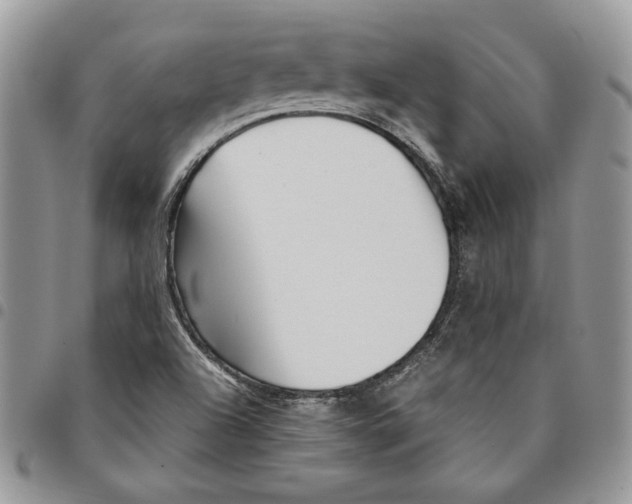 X0000094951504200712271646